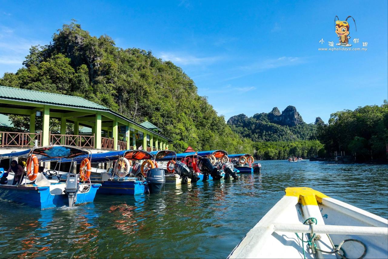 Jelajahi Mangrove Langkawi: Ekosistem Unik, Pengalaman Menakjubkan